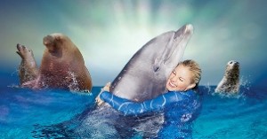 WKdolfinarium