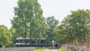 carousel_wide_1024x768_De%20Cantharel-Zomer%20paardenbeeld