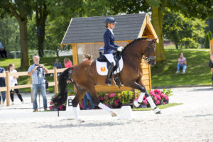 D12 National Dressage Competition for 4 years